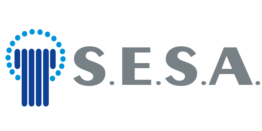 sponsor MSFV erica-12
